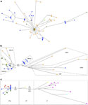 Figure 1 - Unfortunately we are unable to provide accessible alternative text for this. If you require assistance to access this image, please contact help@nature.com or the author